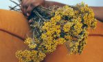 flower industry
