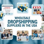Wholesale Dropshipping Suppliers