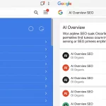 AI Overview seo